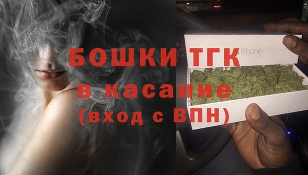 ГАЛЛЮЦИНОГЕННЫЕ ГРИБЫ Алзамай