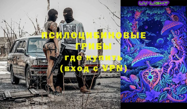 ГАЛЛЮЦИНОГЕННЫЕ ГРИБЫ Алзамай