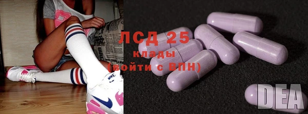 ГАЛЛЮЦИНОГЕННЫЕ ГРИБЫ Алзамай