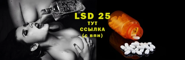 ГАЛЛЮЦИНОГЕННЫЕ ГРИБЫ Алзамай