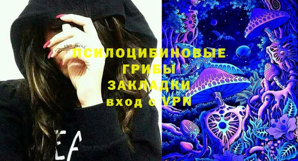 ГАЛЛЮЦИНОГЕННЫЕ ГРИБЫ Алзамай