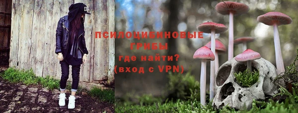 соль ск Алексин