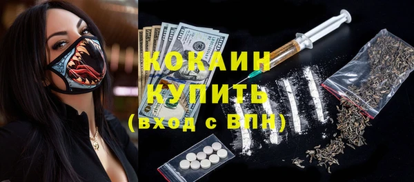 соль ск Алексин
