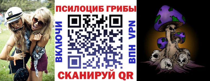 Псилоцибиновые грибы Psilocybine cubensis  Любань 